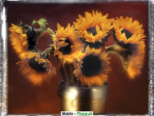 artful_sunflower_others_mobile_wallpaper.jpg