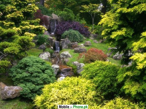 beautiful_gardens_pictures_nature_mobile_wallpaper.jpg
