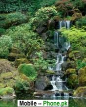 beautiful_waterfall_pics_nature_mobile_wallpaper.jpg