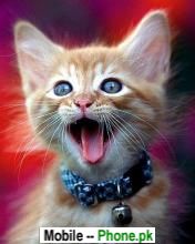 cat_crying_animals_mobile_wallpaper.jpg