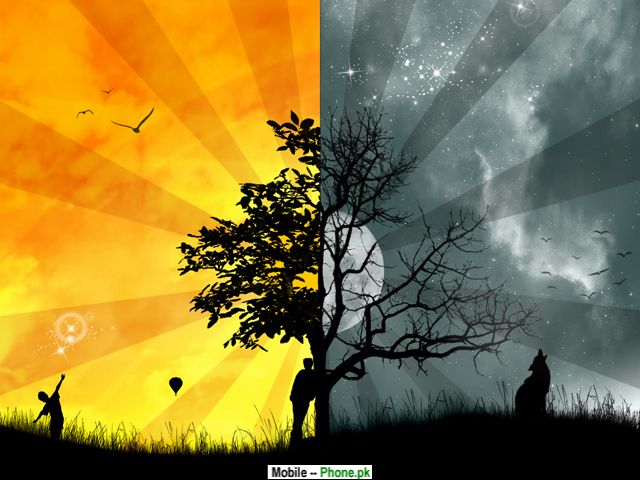 dual_colour_tree_t_mobile_mobile_wallpaper.jpg