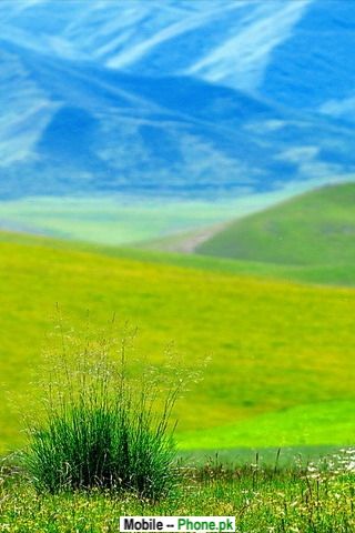 green__blue_nature_view_others_mobile_wallpaper.jpg