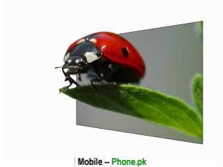 ladybug_on_leaf_320x240_mobile_wallpaper.jpg