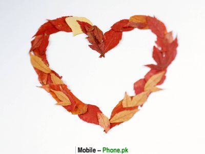 leaf_heart_bollywood_mobile_wallpaper.jpg
