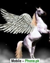 pegasus_horse_animals_mobile_wallpaper.jpg