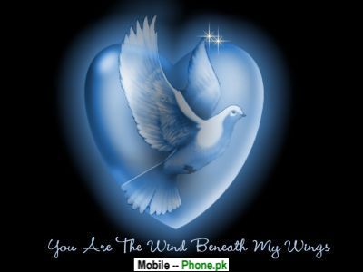 Walpaper  Phone on Pigeon Heart Others Mobile Wallpaper Jpg