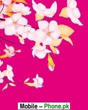 pink_flower_background_pics_nature_mobile_wallpaper.jpg