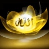 Allah name on flower Nature 176x220