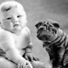 baby with dog Animals 176x220