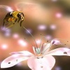 bee on flower Animated 176x220