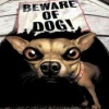 Beware of Dog Animals 176x220
