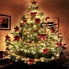 christmas tree Holiday 320x480