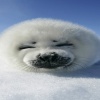 cute animal pictures Animals 360x640