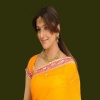 Cute Arti Chabria In Sari Bollywood 400x300