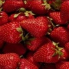 Cute strawberry wallpaper Nature 176x220