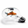Fish in Bulb Others 320x480