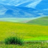 Green & Blue Nature View Others 320x480