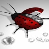 ladybug Animals 320x480
