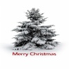 merry christmas tree Holiday 320x480