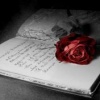 rose on book Nature 176x220