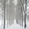 Snow Path T-Mobile 640x480