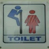 toilet sign 240x320 240x320