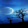 Tree with night moon Nature 360x640