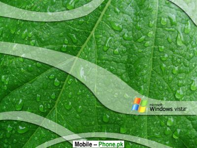 window_vista_leaf_computers_mobile_wallpaper.jpg