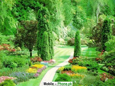 green_garden_park_others_mobile_wallpaper.jpg