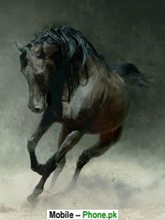 horse_running_animals_mobile_wallpaper.jpg