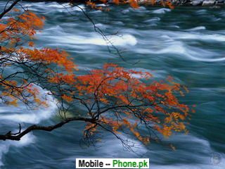 nature_running_water_320x240_mobile_wallpaper.jpg
