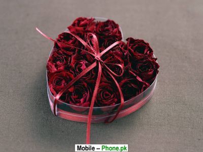 red_heart_gift_others_mobile_wallpaper.jpg