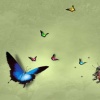 animated butterfly background Nature 176x220