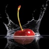 apple in water 240x320 240x320