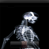 body scan HD 360x640