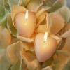 Dual Heart Candle Others 400x300