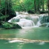 forest waterfall wallpapers Nature 176x220