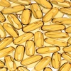 golden seeds Others 320x480