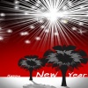 happy new year 2010 Holiday 320x480