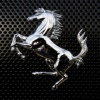 horse stand up wallpaper Animals 240x320