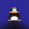 penguin cartoon Animated 360x640