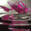pink butterfly wallpaper Nature 240x320