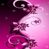 pink flower backgrounds HD 360x640