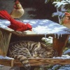 Red bird in cat Animated 176x220