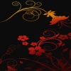 red flower background images HD 360x640