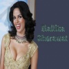 Spicy Hot Malika Sherawat Bollywood 400x300