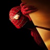 spider man 1 wallpapers Movies 640x480
