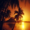 tropical beach sunset Nature 360x640