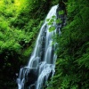 waterfall in forest Nature 360x640