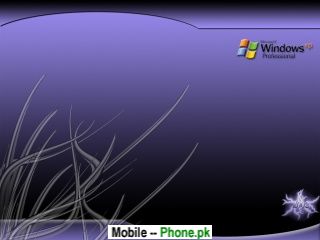 windows_xp_3d_lines_320x240_mobile_wallpaper.jpg